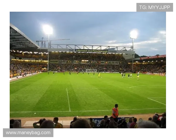 围绕诺维奇俱乐部探讨球队历史文化与未来战略发展脉络解析全景洞察 围绕诺维奇俱乐部探讨球队历史文化与未来战略发展脉络解析全景洞察