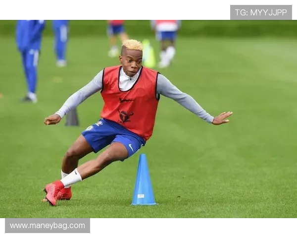 皇家贝蒂斯新赛季布局加速 主帅谈引援青训与争欧长期目标路径