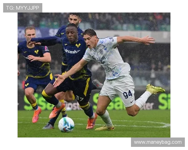 维罗纳足球俱乐部历史与文化的传承与发展分析